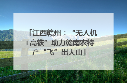 江西赣州：“无人机+高铁”助力赣南农特产“飞”出大山