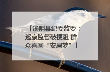 汤阴县纪委监委：巡察监督破梗阻 群众喜圆“安居梦”