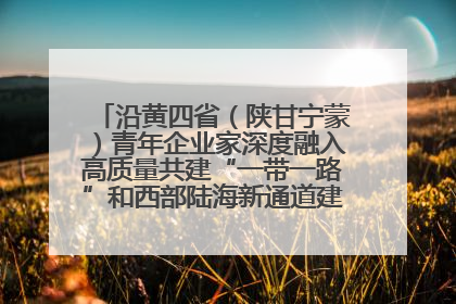 沿黄四省（陕甘宁蒙）青年企业家深度融入高质量共建“一带一路”和西部陆海新通道建设战略合作交流会在甘肃兰州召开