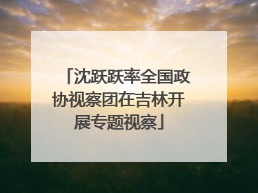 沈跃跃率全国政协视察团在吉林开展专题视察