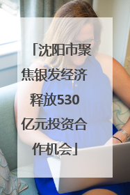 沈阳市聚焦银发经济释放530亿元投资合作机会