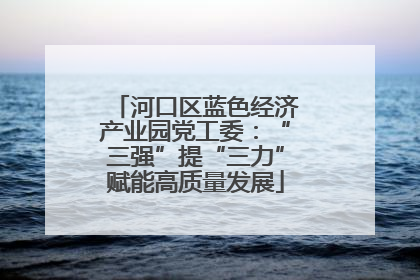 河口区蓝色经济产业园党工委：“三强”提“三力”赋能高质量发展