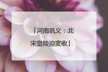 河南巩义：北宋皇陵迎麦收