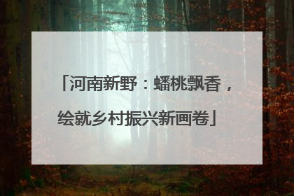 河南新野：蟠桃飘香，绘就乡村振兴新画卷