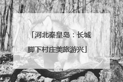 河北秦皇岛：长城脚下村庄美旅游兴