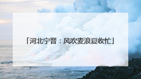 河北宁晋：风吹麦浪夏收忙