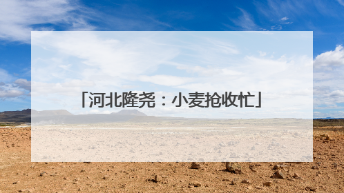 河北隆尧：小麦抢收忙