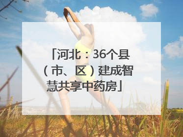河北：36个县（市、区）建成智慧共享中药房