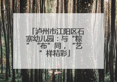 泸州市江阳区石寨幼儿园：与“粽”“布”同，“艺”样精彩