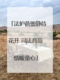法护蓓蕾静待花开 司法育苗情暖童心