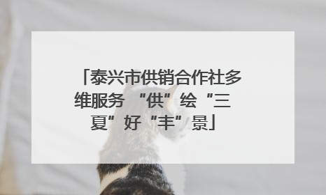 泰兴市供销合作社多维服务 “供”绘“三夏”好“丰”景