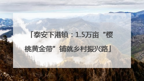 泰安下港镇：1.5万亩“樱桃黄金带”铺就乡村振兴路