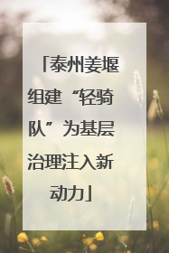泰州姜堰组建“轻骑队”为基层治理注入新动力