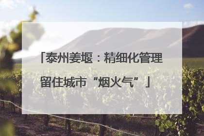 泰州姜堰：精细化管理留住城市“烟火气”