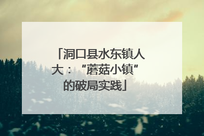 洞口县水东镇人大：“蘑菇小镇”的破局实践
