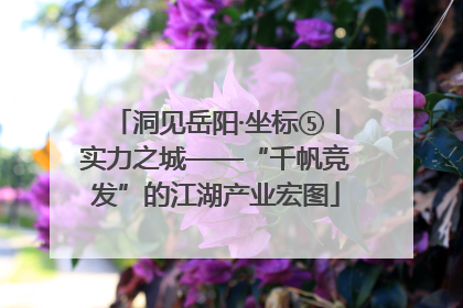 洞见岳阳·坐标⑤丨实力之城——“千帆竞发”的江湖产业宏图