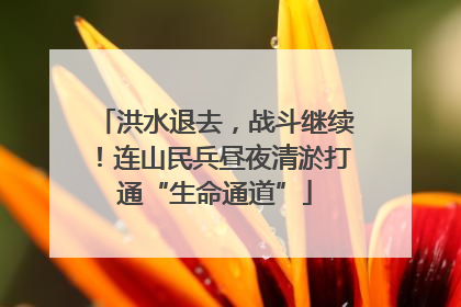 洪水退去，战斗继续！连山民兵昼夜清淤打通“生命通道”