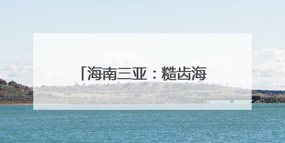 海南三亚：糙齿海豚被成功放归大海
