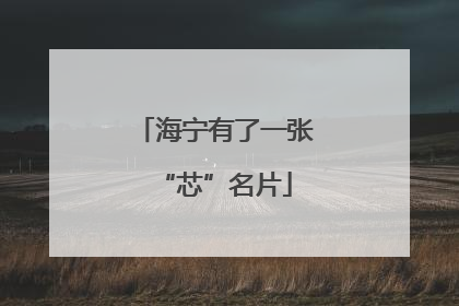 海宁有了一张“芯”名片