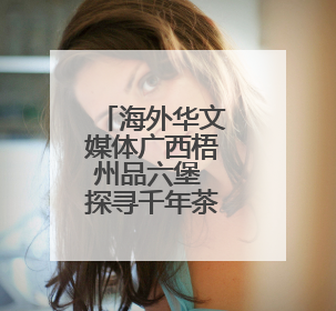 海外华文媒体广西梧州品六堡 探寻千年茶香里的“乡愁味”