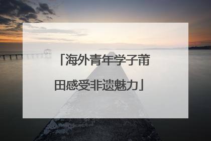 海外青年学子莆田感受非遗魅力