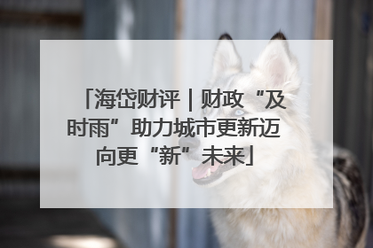 海岱财评｜财政“及时雨”助力城市更新迈向更“新”未来