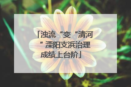 浊流“变“清河“ 溧阳支浜治理成绩上台阶