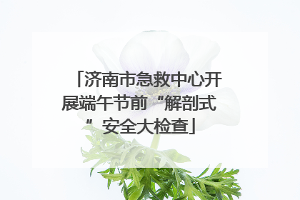 济南市急救中心开展端午节前“解剖式”安全大检查