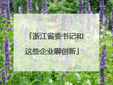 浙江省委书记和这些企业聊创新