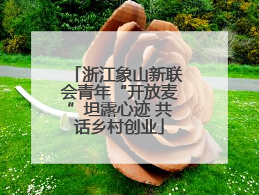 浙江象山新联会青年“开放麦”坦露心迹 共话乡村创业