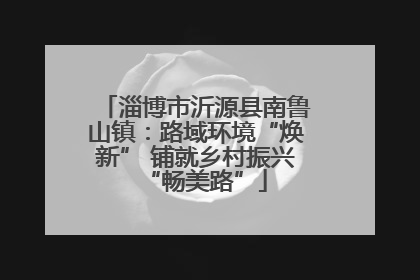 淄博市沂源县南鲁山镇：路域环境“焕新” 铺就乡村振兴“畅美路”
