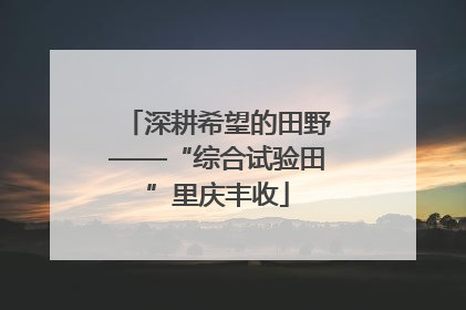深耕希望的田野——“综合试验田”里庆丰收