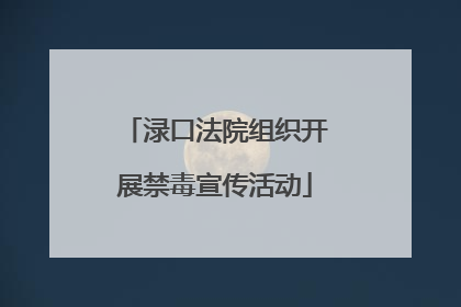 渌口法院组织开展禁毒宣传活动
