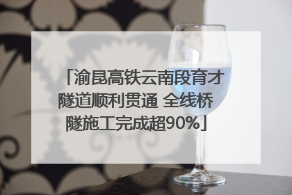 渝昆高铁云南段育才隧道顺利贯通 全线桥隧施工完成超90%