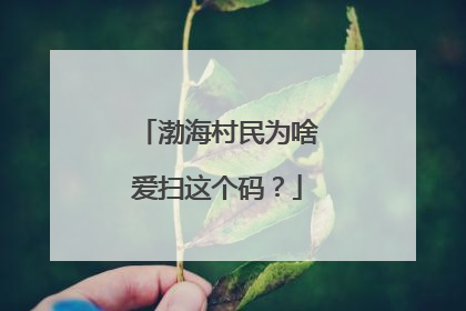 渤海村民为啥爱扫这个码？