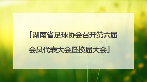 湖南省足球协会召开第六届会员代表大会暨换届大会