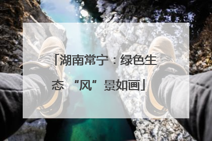 湖南常宁：绿色生态 “风”景如画