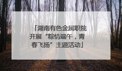 湖南有色金属职院开展“粽情端午，青春飞扬”主题活动