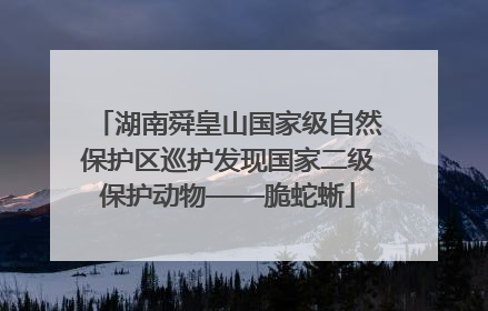 湖南舜皇山国家级自然保护区巡护发现国家二级保护动物——脆蛇蜥