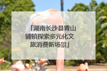 湖南长沙县青山铺镇探索多元化文旅消费新场景