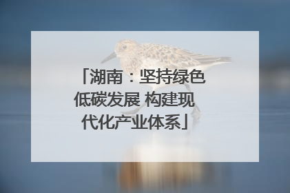 湖南：坚持绿色低碳发展 构建现代化产业体系