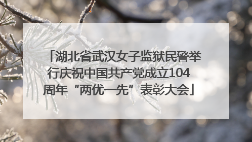 湖北省武汉女子监狱民警举行庆祝中国共产党成立104周年“两优一先”表彰大会