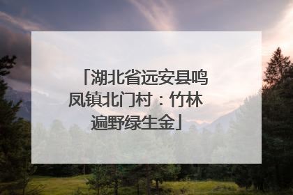 湖北省远安县鸣凤镇北门村：竹林遍野绿生金