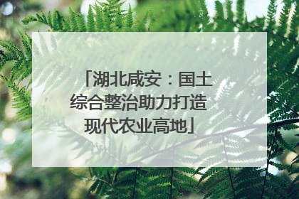湖北咸安：国土综合整治助力打造现代农业高地