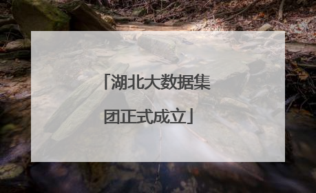 湖北大数据集团正式成立