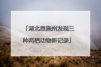 湖北恩施州发现三种两栖动物新记录