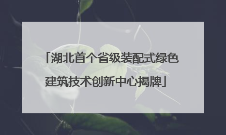 湖北首个省级装配式绿色建筑技术创新中心揭牌