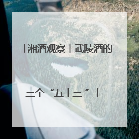 湘酒观察丨武陵酒的三个“五十三 ”
