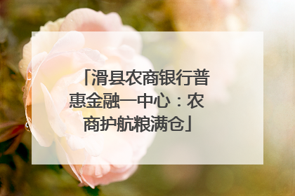 滑县农商银行普惠金融一中心：农商护航粮满仓