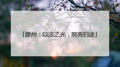 滕州：以法之光，照亮归途